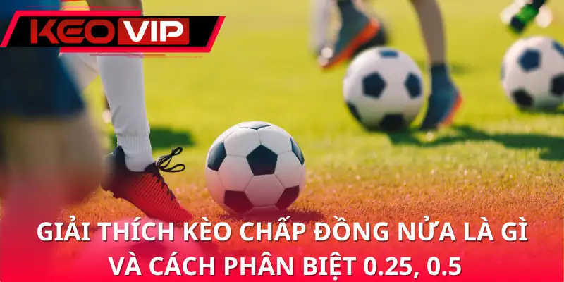 Giải thích kèo chấp đồng nửa là gì và cách phân biệt 0.25, 0.5